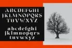 Brightfate Font
