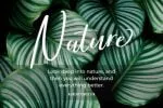 Brightish Font