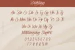 Brightwise Font