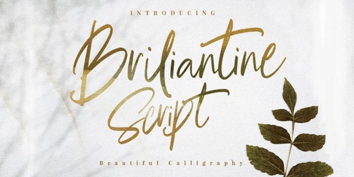 Briliantine Script Font