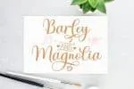 Brilliant Soulmates Font