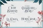 Brilon Font