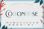 Brilon Font