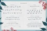 Brilon Font