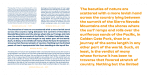 Brinnan Font