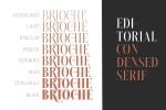 Brioche Font Family