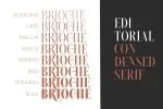 Brioche Font Family