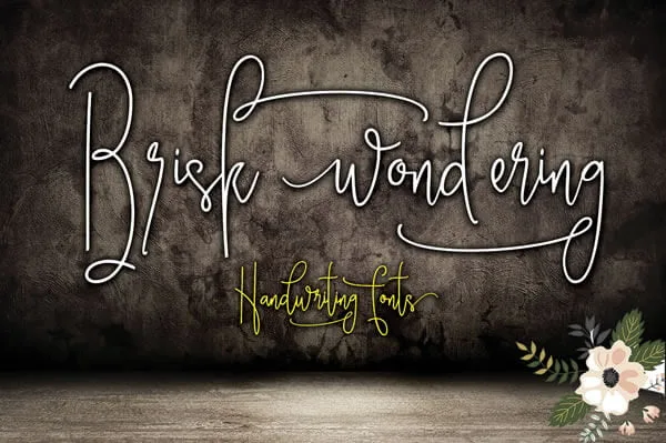 Brisk Wondering Font