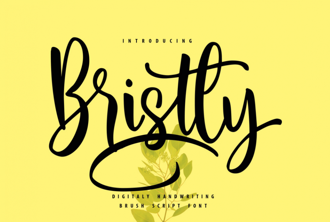 Bristly Handwriting Brush Script Font