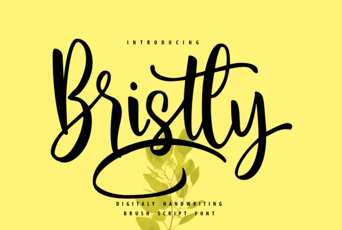 Bristly Handwriting Brush Script Font