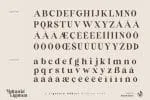 Britania Ligatura Font Family