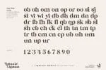 Britania Ligatura Font Family