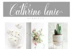 Brittalia Script Font