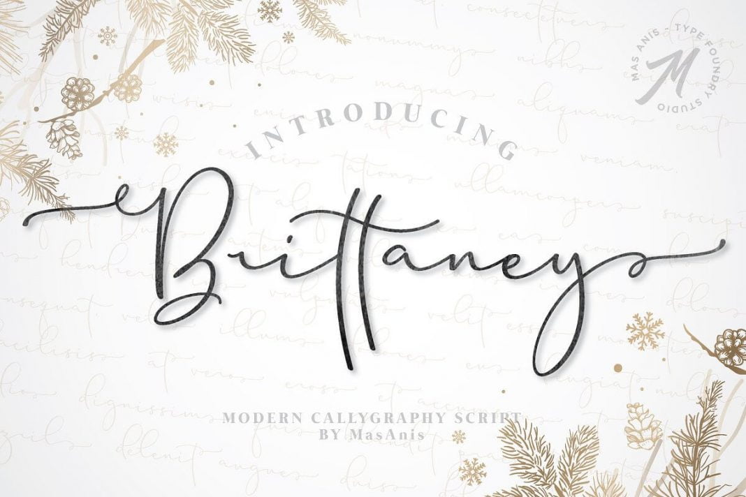 Brittaney Modern Calligraphy Font