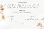 Brittney Queen - Signature & Handwriter Font
