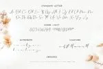 Brittney Queen - Signature & Handwriter Font