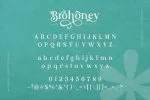 Brohoney Modern Serif Typeface