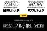 Brokefold Sans Font