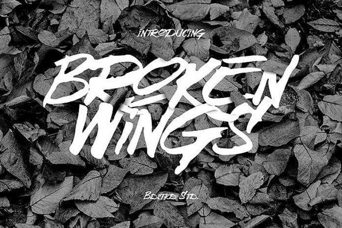 Broken Wings Typeface