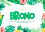 Bromo Font