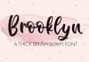 Brooklyn - A Thick Brush Script Font