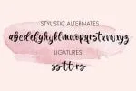 Brooklyn - A Thick Brush Script Font