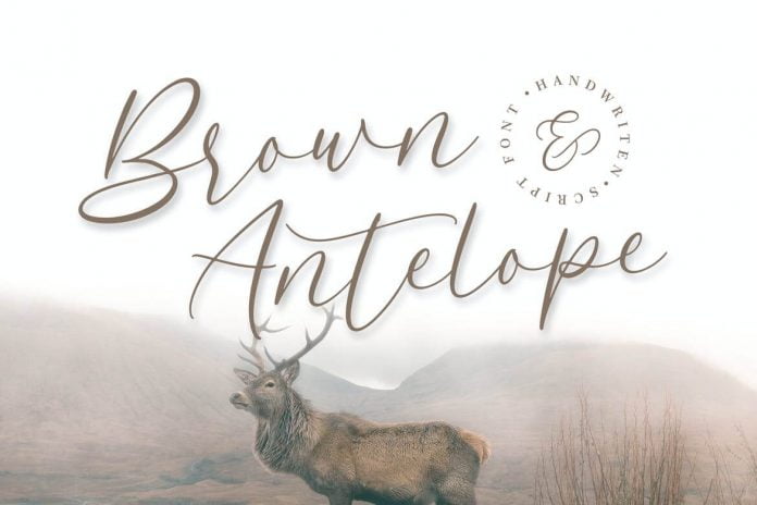 Brown Antelope - Beauty Script Font
