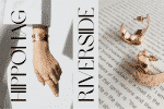 Brown Sugar Font