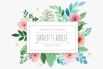 Brulee Font