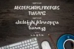 Brush Action Font