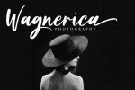 Brush Signature Font