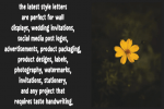 Brush Zone Font