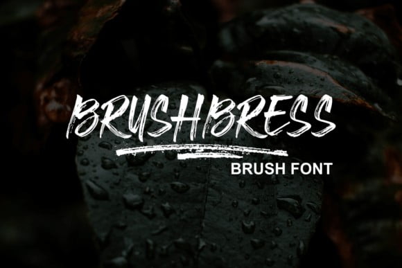 Brushbress Font