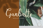 Bryan Letter Font