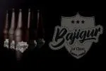 Brylion Script Unique Authentic Font