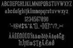 Bubble Texture Font