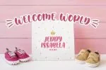Bubblez - Fun Craft
