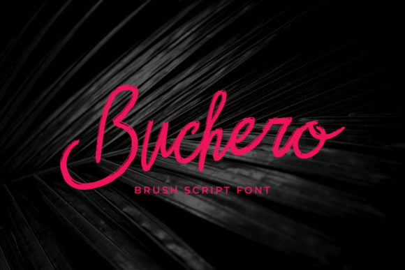 Buchero Font