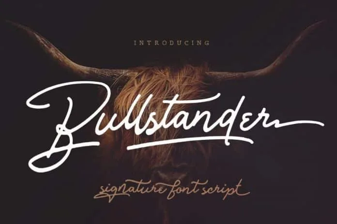 Bullstander 6 Font