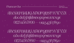Bunga Romantic Font