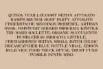 Bungalow Headline Font