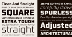 Bunken Tech Sans Font Family