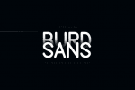 Burd Sans Font