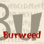 Burweed Font