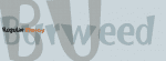 Burweed Font