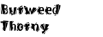 Burweed Font