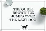 Bushel - A vintage Flourish Font