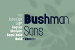 Bushman Font Set