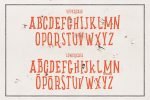 Bushwhack Font