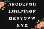 Buster Vintage Font